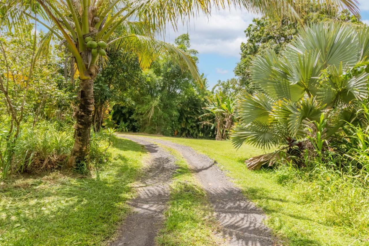 Off-Grid Getaway With Ocean Views In Paradise Pahoa Exteriör bild