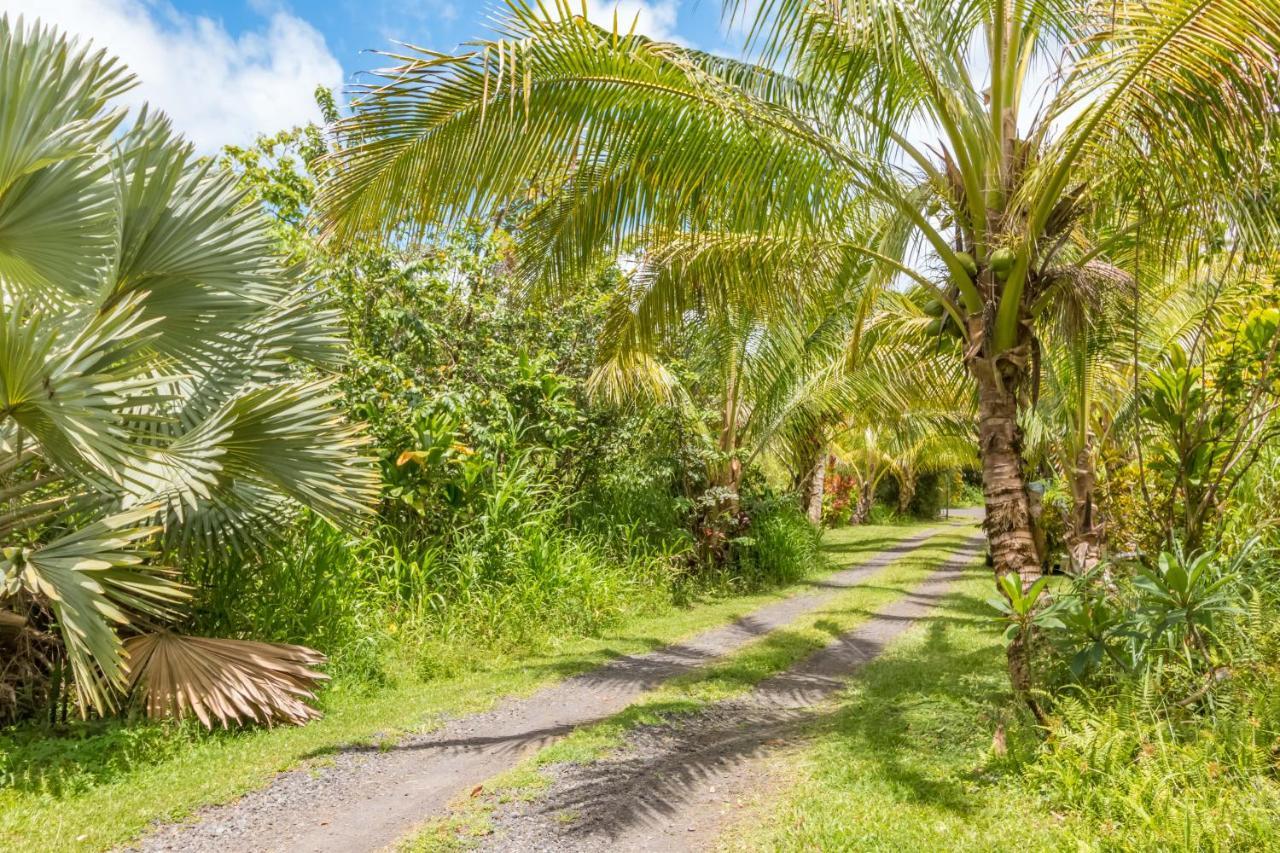 Off-Grid Getaway With Ocean Views In Paradise Pahoa Exteriör bild