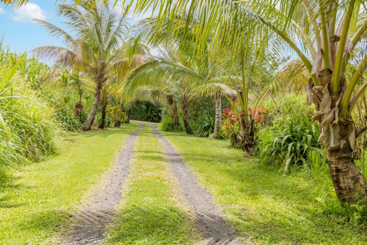 Off-Grid Getaway With Ocean Views In Paradise Pahoa Exteriör bild