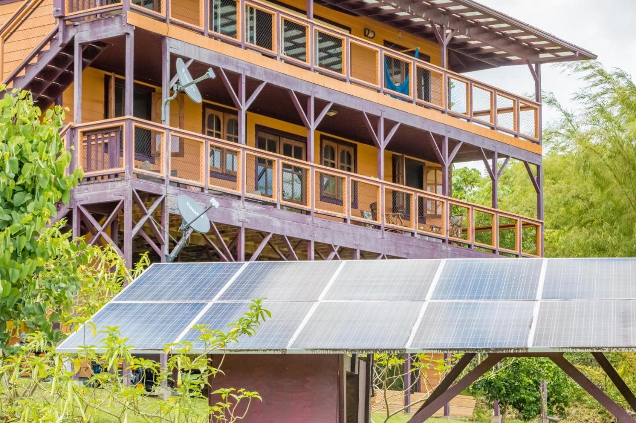 Off-Grid Getaway With Ocean Views In Paradise Pahoa Exteriör bild