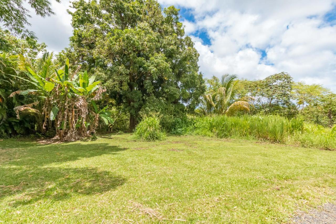 Off-Grid Getaway With Ocean Views In Paradise Pahoa Exteriör bild