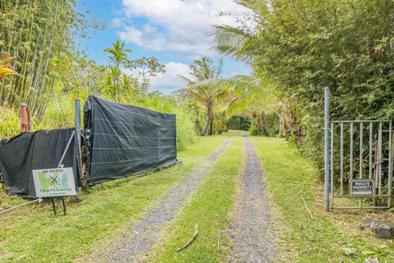 Off-Grid Getaway With Ocean Views In Paradise Pahoa Exteriör bild