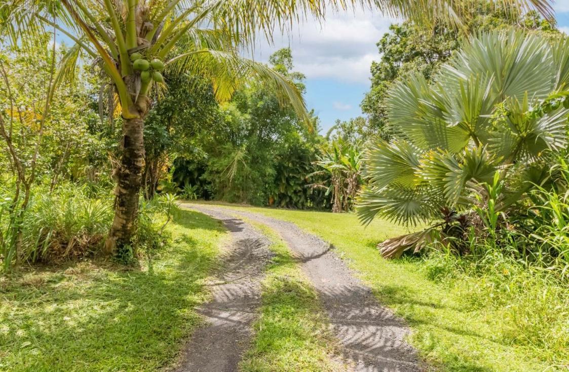 Off-Grid Getaway With Ocean Views In Paradise Pahoa Exteriör bild
