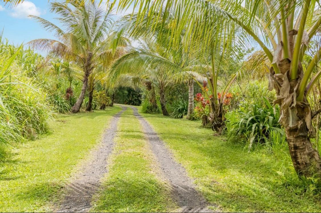 Off-Grid Getaway With Ocean Views In Paradise Pahoa Exteriör bild
