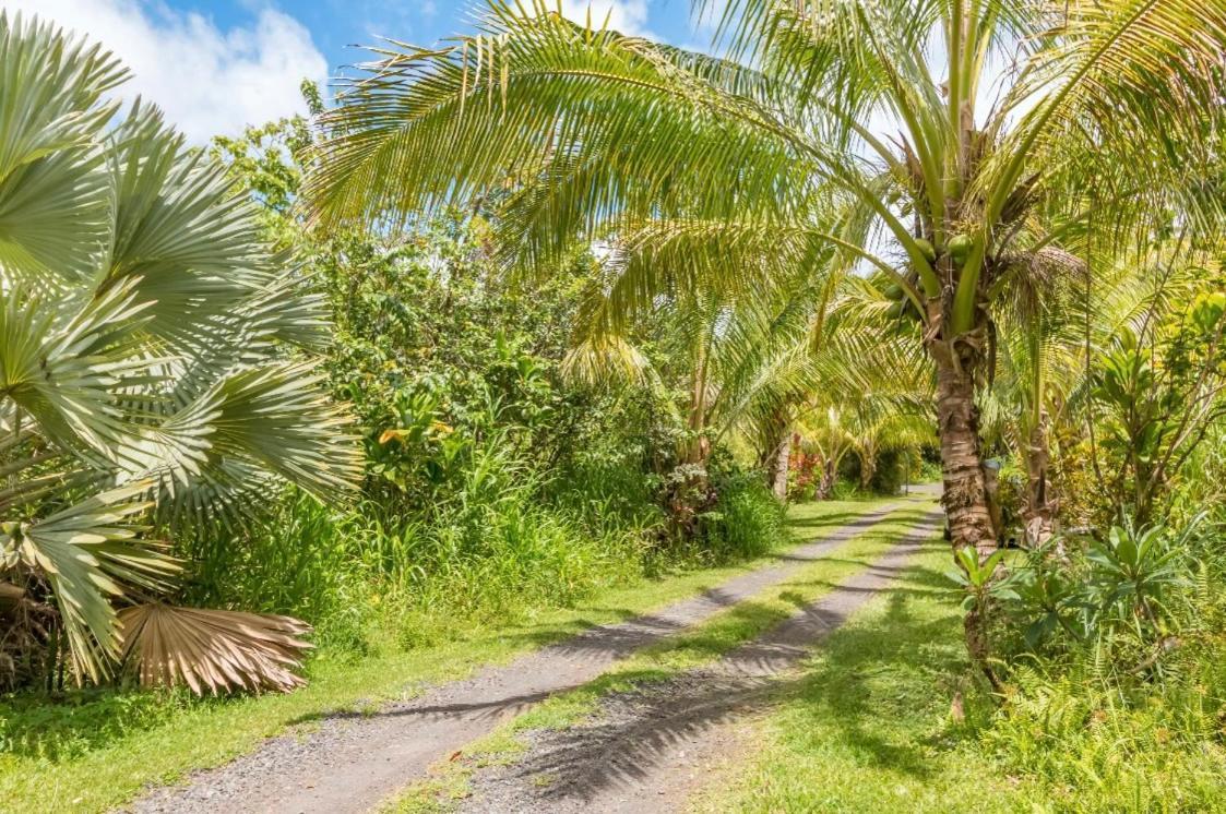 Off-Grid Getaway With Ocean Views In Paradise Pahoa Exteriör bild